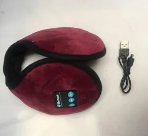 Bluetooth Earmuffs