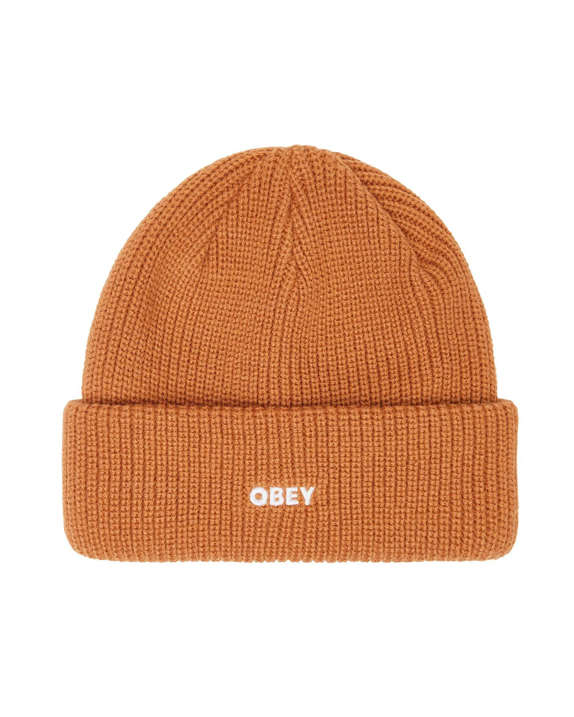 Future Beanie