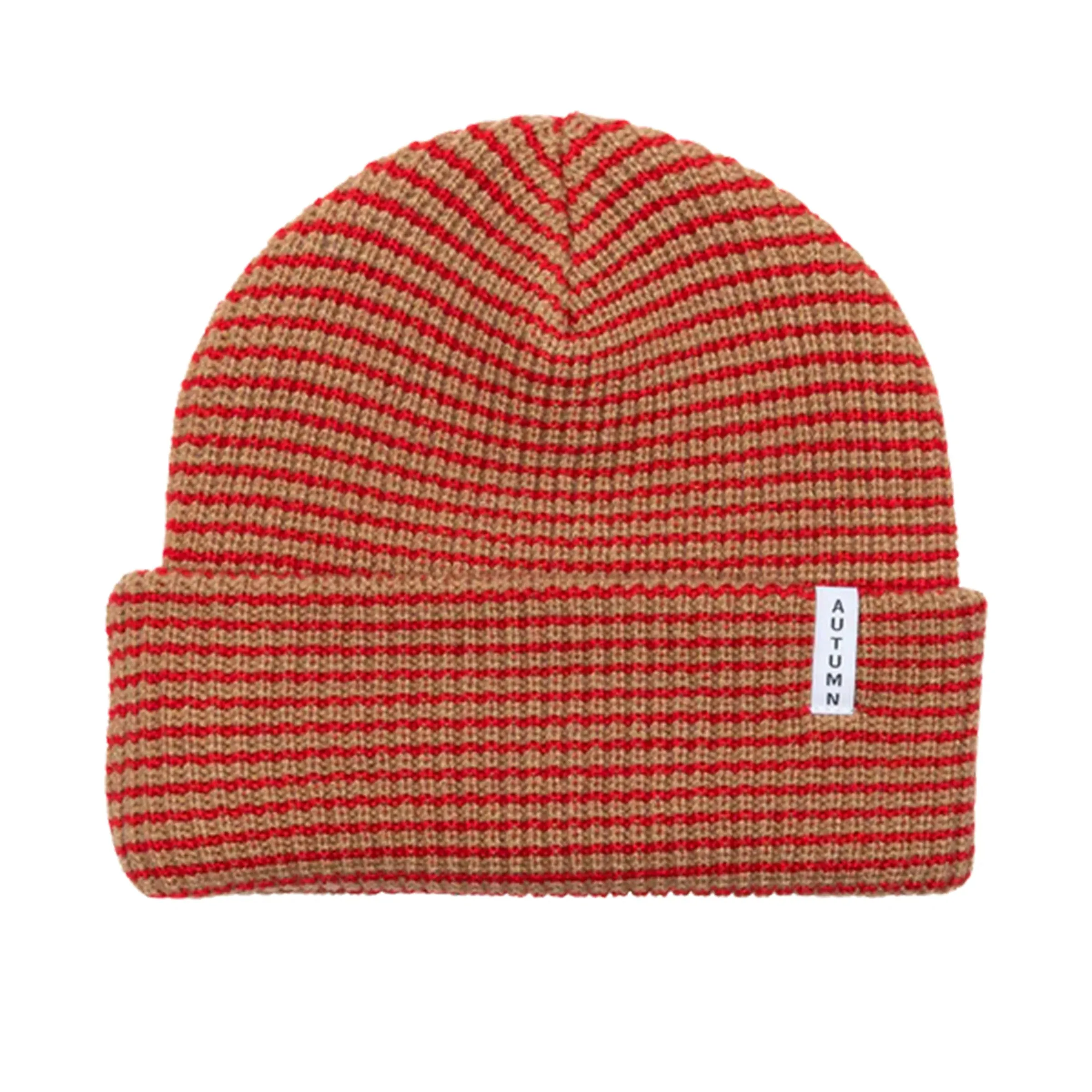 Youth Stripe Beanie (PS)